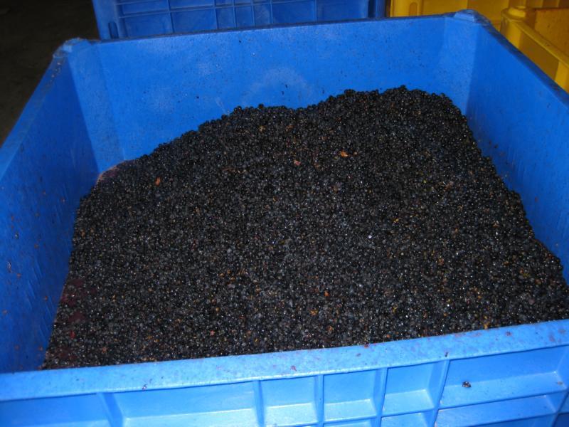 http://www.rotovib.de/sites/default/files/imagecache/bild_gross/Bild 188.jpg